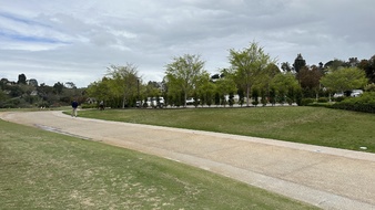 Enlarge photo 31
