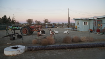 Enlarge photo 48