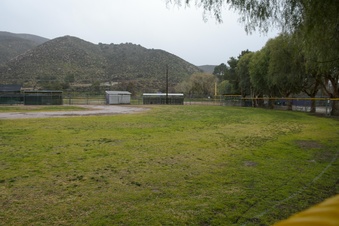 Enlarge photo 7
