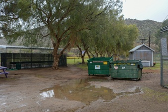 Enlarge photo 23