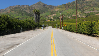 Enlarge photo 4