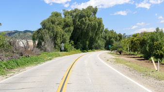Enlarge photo 3