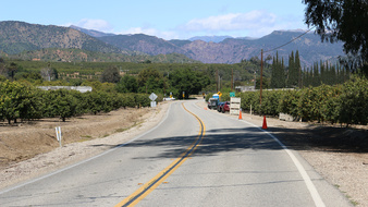 Enlarge photo 20