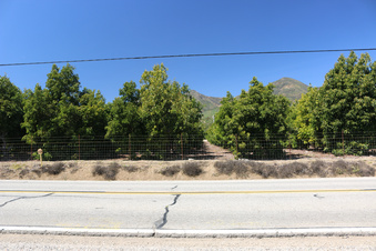 Enlarge photo 27