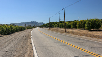 Enlarge photo 23