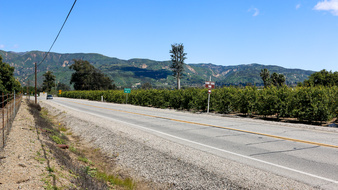 Enlarge photo 25