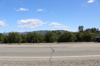 Enlarge photo 26