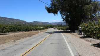 Enlarge photo 21