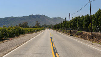 Enlarge photo 28