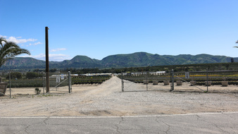 Enlarge photo 4