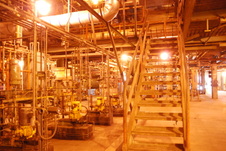 Enlarge photo 110