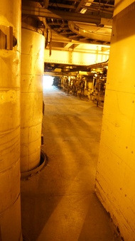 Enlarge photo 137