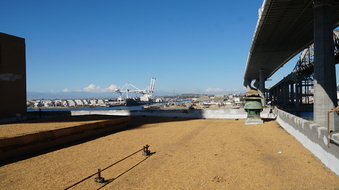 Enlarge photo 198