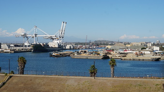 Enlarge photo 205