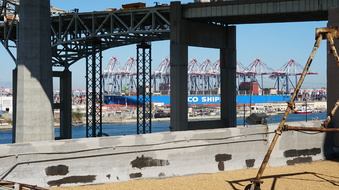 Enlarge photo 235