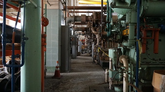 Enlarge photo 117
