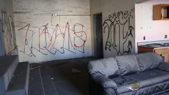 Enlarge photo 87