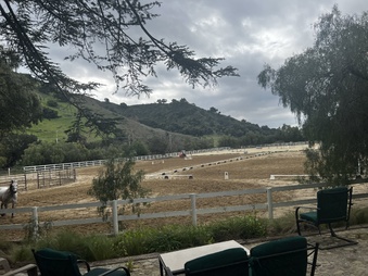 Enlarge photo 28