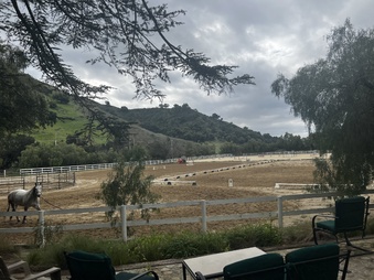 Enlarge photo 29