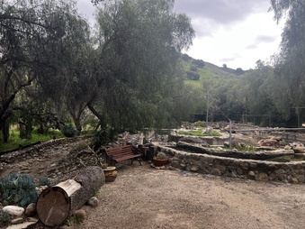 Enlarge photo 33