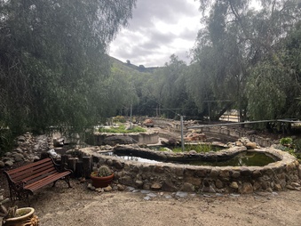 Enlarge photo 34