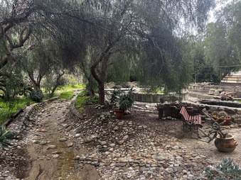 Enlarge photo 36