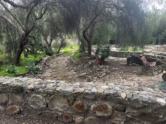 Enlarge photo 37