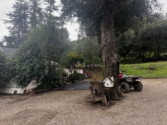 Enlarge photo 39