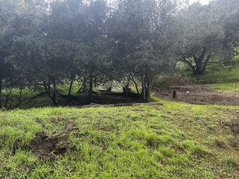 Enlarge photo 42