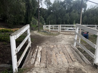 Enlarge photo 102
