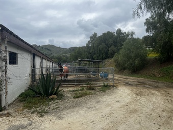 Enlarge photo 107