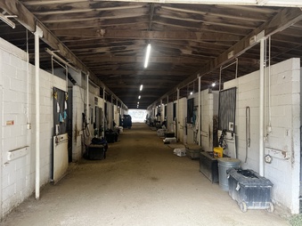 Enlarge photo 108