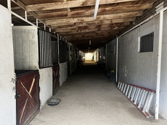 Enlarge photo 110