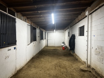 Enlarge photo 114
