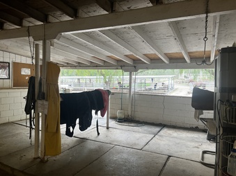 Enlarge photo 116