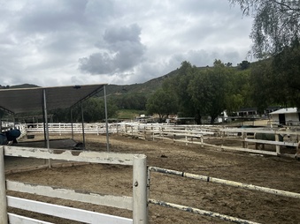 Enlarge photo 144