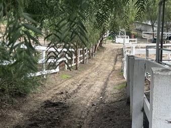 Enlarge photo 153