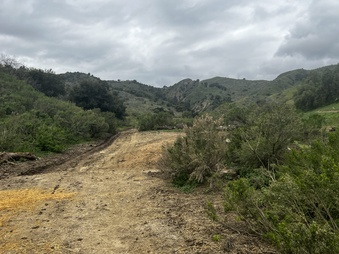 Enlarge photo 166