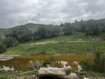 Enlarge photo 169