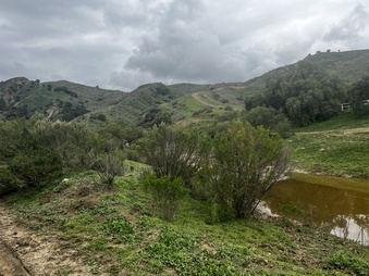 Enlarge photo 170