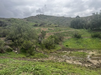 Enlarge photo 171