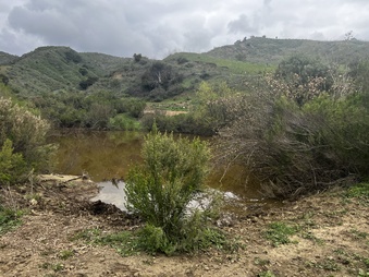 Enlarge photo 172