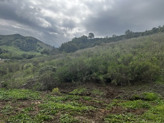 Enlarge photo 174