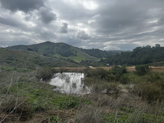 Enlarge photo 186