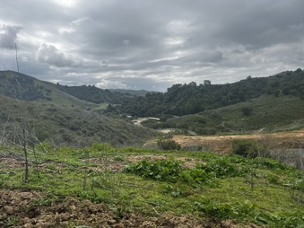 Enlarge photo 187