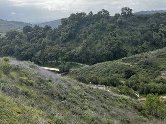 Enlarge photo 188