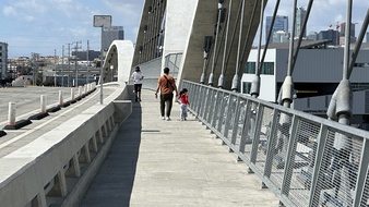 Enlarge photo 151