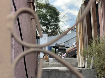 Enlarge photo 36