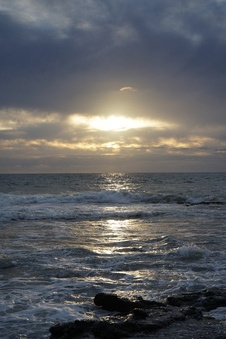 Enlarge photo 109