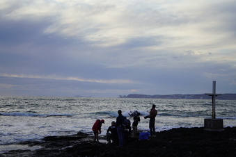 Enlarge photo 95